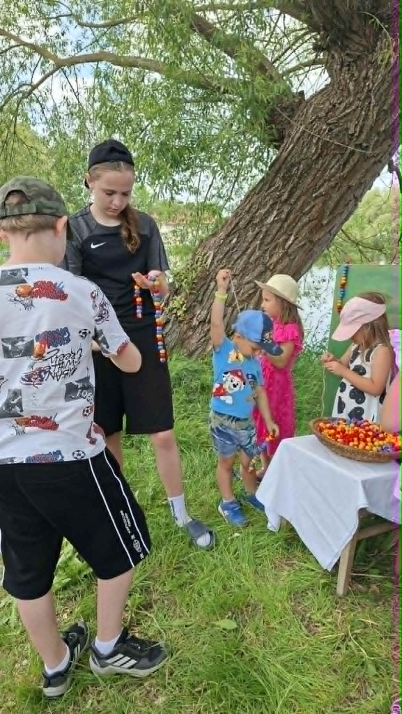 62.jpg