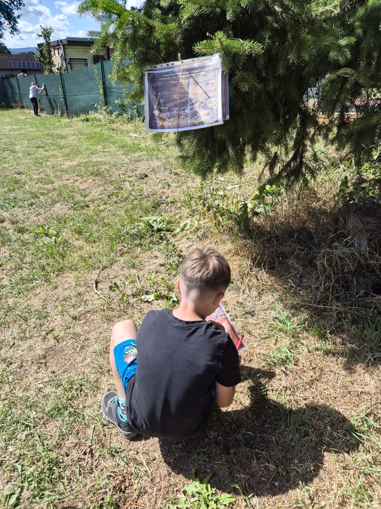 20260708_155210.jpg