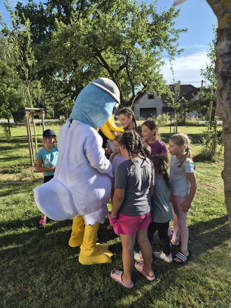 20260708_183348.jpg