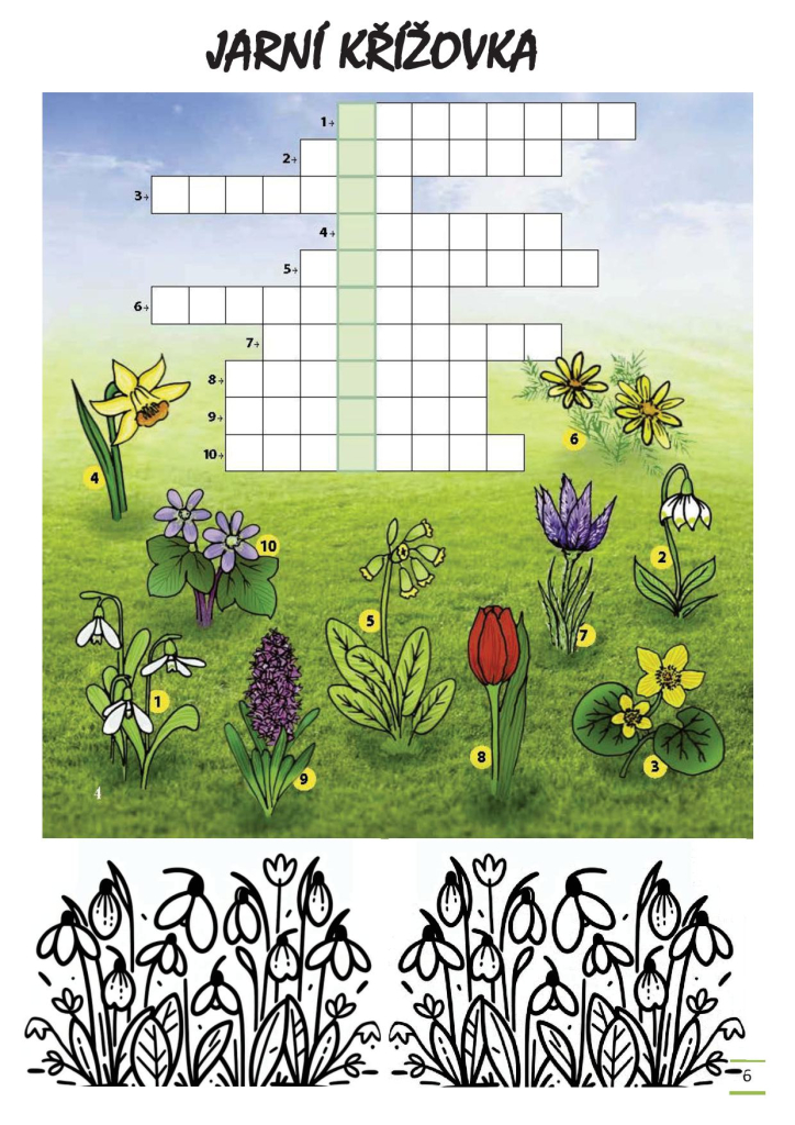 ddmáček březen1186.jpg