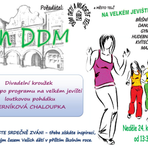 Den DDM